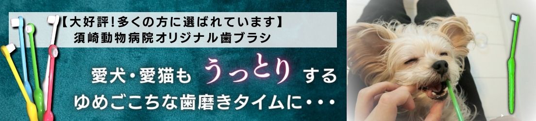 口内ケア 口内ケア